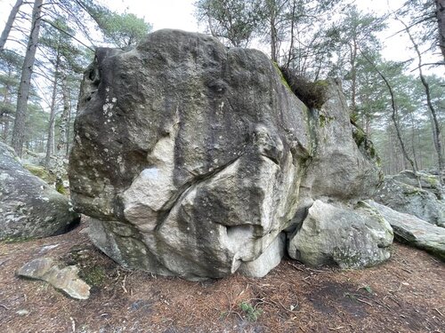 Image of Le Rouge-Gorge (assis) (6c)